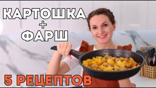 Всего-то КАРТОШКА и ФАРШ, а так вкусно! 5 рецептов из картошки и фарша для ленивых