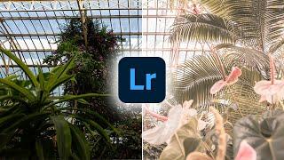 Pink Lightroom Preset Tutorial | Lightroom Preset White Pink Filter