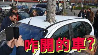 大樹穿車？千年瑪雅雕像刻二維碼？營銷號裡的謠言你都信了嗎 | 我是江无情