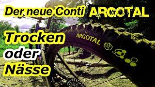 "Argotal" der neue MTB Reifen von Conti | Was kann der Neue??? | Trocken oder Nässe oder beides?