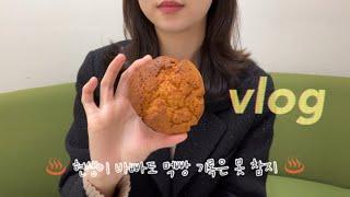 vlog 윤달베이커리 삼각이 보름이 | 빵어니스타 라미쿠키 달미쿠키 | 쭈롱베이커리 | 삐토베이커리