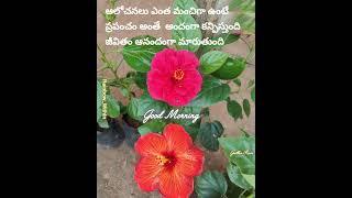 #goodmorning#motivation#thoughts#wonderful#flowers#happiness#telugu#shorts#teluguquotes#quotes#viral