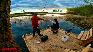 КАРАСЬ #cruciancarp