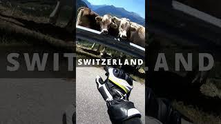 Don't Miss This! Norway to Italy Motorcycle Adventure | #shorts