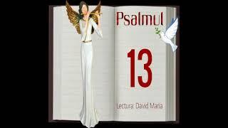 Psalmul 13