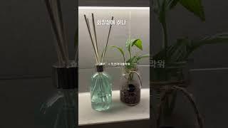 쌓여가는  디퓨저 병 신경쓰였죠  #디퓨저선물 #디퓨저추천  #디퓨저 #인테리어소품