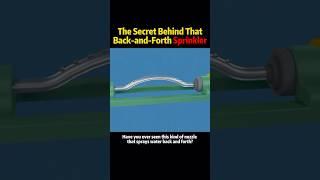 The secret behind that back and forth sprinkler #knowledge #science