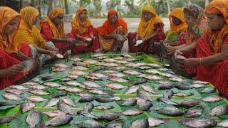 Tilapia Fish Curry - Village Ladies Cutting Huge Tilapia Fish & Cooking Fish Curry to feed Villagers