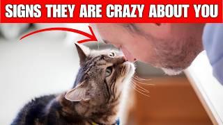 11 signs your cat is CRAZY ABOUT YOU | They can't live without you