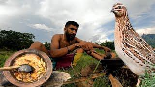 quail hunting and cooking | වටුකුරැළු දඩයම | Veddaa