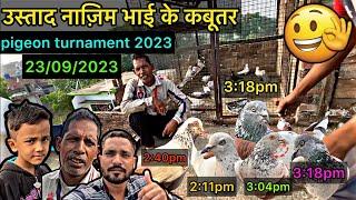 pigeon tournament 2023 || kabootar ki udaan 2023 || latest pigeon tournament || kabootar ki bazi