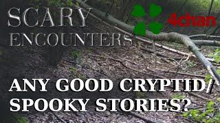 4chan Scary Encounters - Any good cryptid or spooky stories?