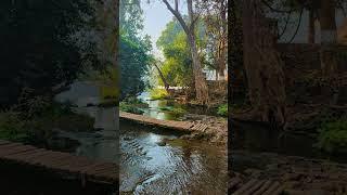 Hidden beautiful jungle of #bastar  #chhattisgarh #travel #bastardiaries #travel #travelling #vlog