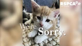 We're sorry these animals suffered | RSPCA South Australia