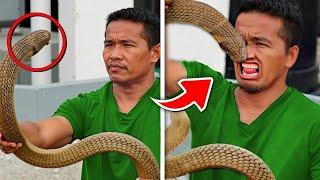 30 Animal Encounters Gone Wrong Caught on Camera