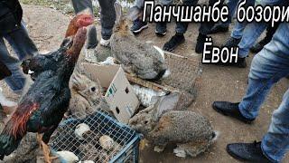 ПАНЧШАНБЕ БОЗОРИ ЁВОН НАРХИ ДАКАН БУДАНА ХАРГУШ ВЕЛИКАН 1500.СОМ