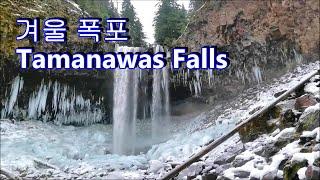 겨울폭포 Tamanawas Falls