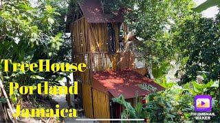 ￼￼ mango tree, ￼￼Treehouse in Jamaica