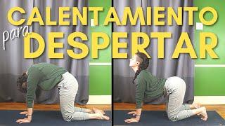 CALENTAMIENTO RELAJANTE PARA DESPERTAR EL CUERPO | Calentamiento para Todo el Cuerpo para Bailarines