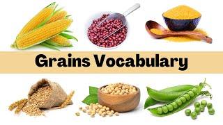 Grains Vocabulary - All About 30 Grains Names - In English Vocabulary - Learn For Kids (Edu Kids)