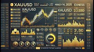 Copy of Live trade on Real Standard account in Exness broker in XAUUSD on 13.03.2025