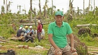 Coconut farming in the Philippines