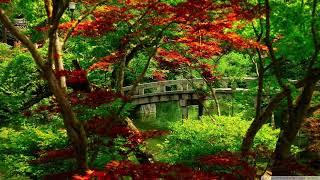 ALAN WATTS CHILLSTEP 7   TERRESTRIAL EXITIUM ALAN WATTS