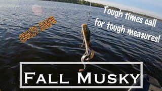 Fall Musky Crush Medusa! Rideau River Fall Musky Fishing -- CRAZY JUMP!!
