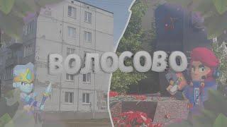 《》Путешествие по Волосово//Ленинградская область《》