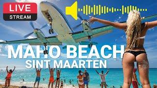 World famous Plane Beach ️ -  Maho Beach SXM Webcam