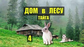 ЗОЛОТО ПРИИСК в ТАЙГЕ ДОМ в ЛЕСУ ОХОТА ОТШЕЛЬНИК КНИГИ ЖИВОТНЫЕ ИСТОРИИ из ЖИЗНИ АУДИОКНИГА СЕРИАЛ 4