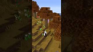 Could Minecraft Get An AUTUMN BIOME?