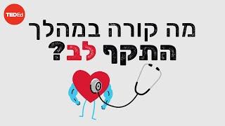 מה קורה במהלך התקף לב?– קרישנה סודהיר
