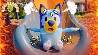 BLUEY Why Is It So Hot? - Lessons For Kids About Climate Change | Pretend Play with Bluey Toys