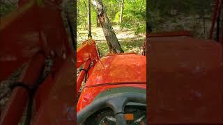 Using the new Kubota m5660 to pull down a big tree