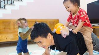 Baby monkey Poki hugs his dad tightly, monkey PUPU and Nguyen help dad stretch