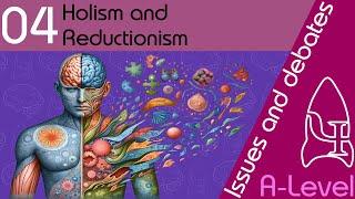 Holism and reductionism - Issues and debates [A-Level Psychology]