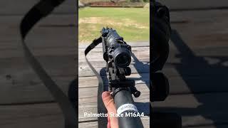 Palmetto State M16A4