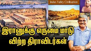 Iraq -ல் பேசப்படும் திராவிட மொழி | R Balakrishnan IAS | கீழடி | Indus valley civilisation 100 years