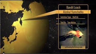 BANDIT LEACH | ALASKA & KAMCHATKA FLY PATTERN