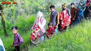 NEW PAHARI MARRIAGE VIDEO// SHOOT FILM VILLAGE HARI KASHMIR WITH REMEX PAHARI GOJRI SONG