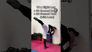 Kicking Mobility Workout - Martial Arts Flexibility Taekwondo Karate