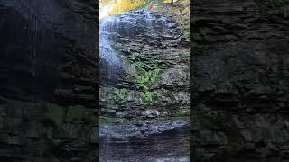 Tiffany Falls, Hamilton, Ontario #falls #canadafalls #fall #music #travel #canadiancity #vlog #yyz