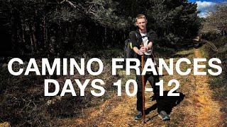 Camino Frances #4 | Days 10 - 12 | Santa Domingo de la Calzada to Burgos