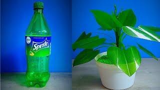 HOW TO MAKE A TREE PLASTIC FLOWER DECORATION FROM A USED BOTTLE || BEAUTIFUL ROOM DECORATION