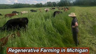 How Regenerative Agriculture Changed Our Farm