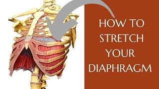 How To Stretch Your Diaphragm | Diaphragmatic Excursion