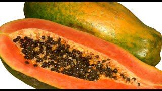 EatYourBackYard The Alpha Papaya!!! THE HAWAIIAN PAPAYA, A Champion Among Sweet Sweet Chubby Fruits