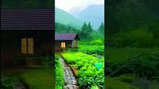 Silent Melodies of Nature | Relaxing Ambient Music with Stunning Natural Scenery