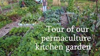 Tour of our permaculture kitchen garden